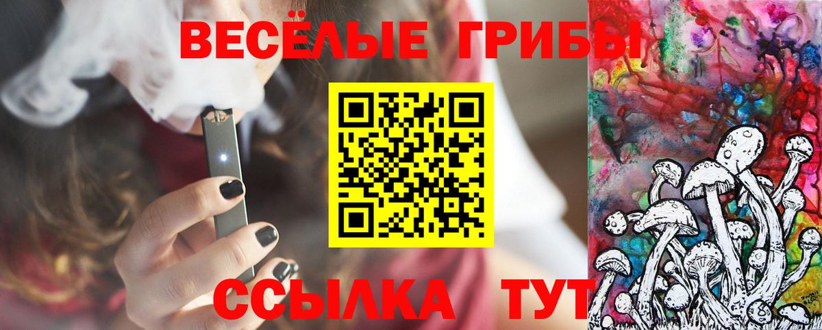 Галлюциногенные грибы ЛСД Камень-на-Оби